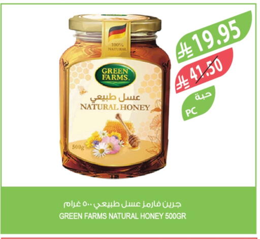 Honey available at Farm  in KSA, Saudi Arabia, Saudi - Al-Kharj