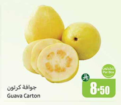 Guava available at Othaim Markets in KSA, Saudi Arabia, Saudi - Buraidah