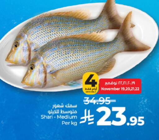 available at LULU Hypermarket in KSA, Saudi Arabia, Saudi - Tabuk