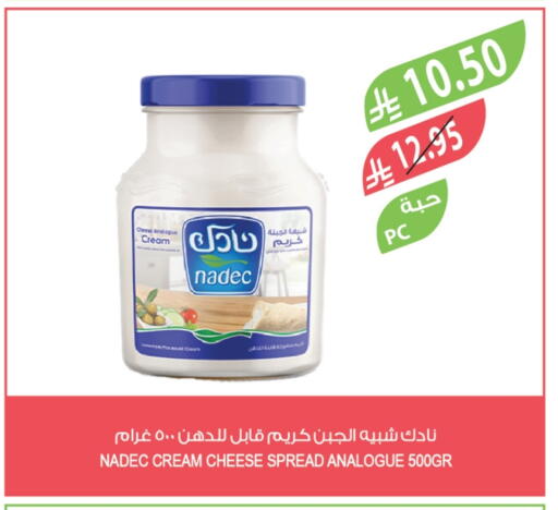 nadec-analogue-cream-in-hyper-panda-ksa-saudi-arabia-saudi-najran