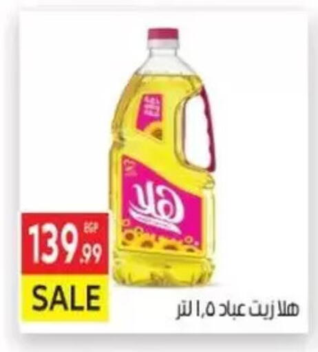 Sunflower Oil available at El Mahallawy Market  in Egypt - Cairo