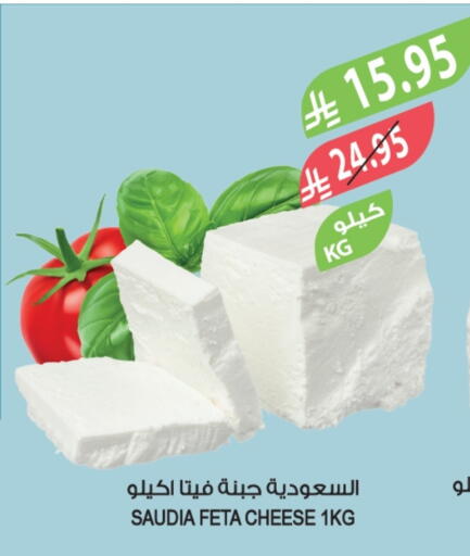 available at المزرعة in مملكة العربية السعودية, السعودية, سعودية - تبوك