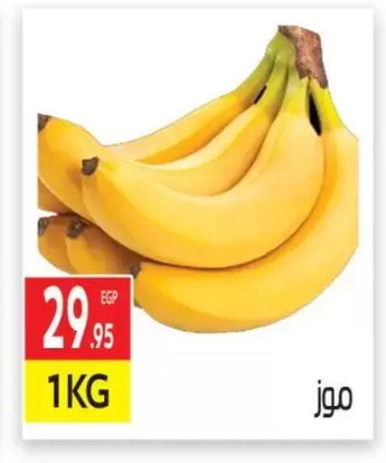 Banana available at El Mahallawy Market  in Egypt - Cairo