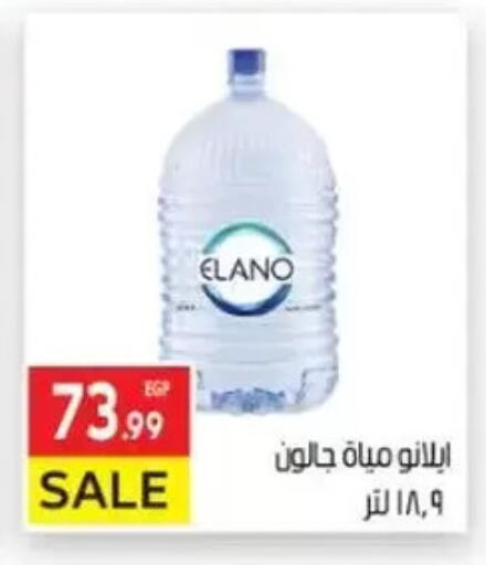 available at المحلاوي ماركت in Egypt - القاهرة