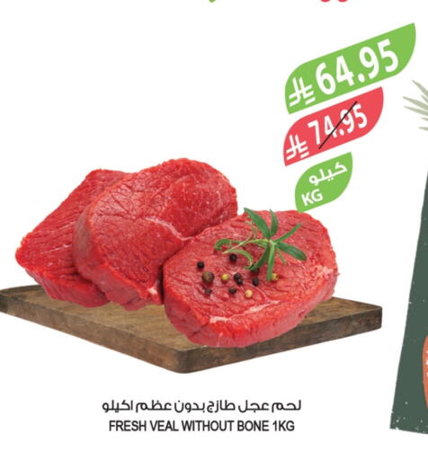 Veal available at Farm  in KSA, Saudi Arabia, Saudi - Al-Kharj