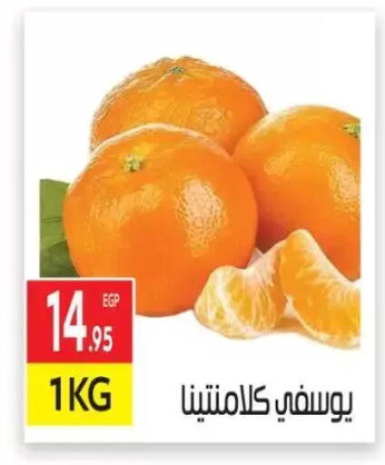 Orange available at El Mahallawy Market  in Egypt - Cairo
