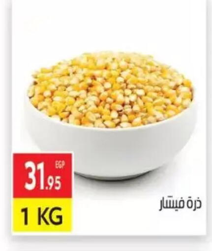 available at المحلاوي ماركت in Egypt - القاهرة