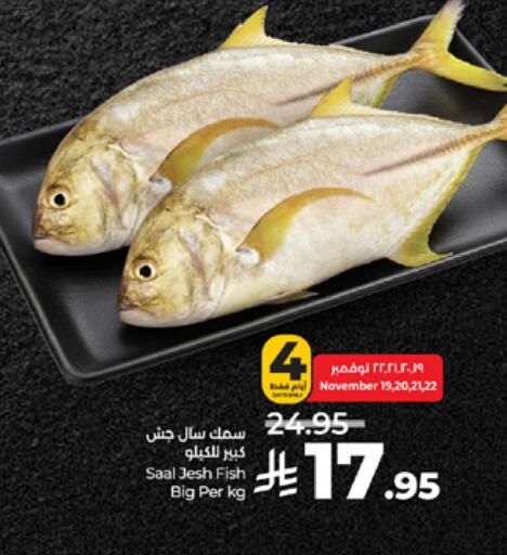 available at LULU Hypermarket in KSA, Saudi Arabia, Saudi - Tabuk