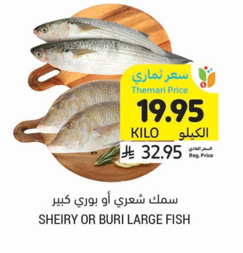 available at Tamimi Market in KSA, Saudi Arabia, Saudi - Tabuk