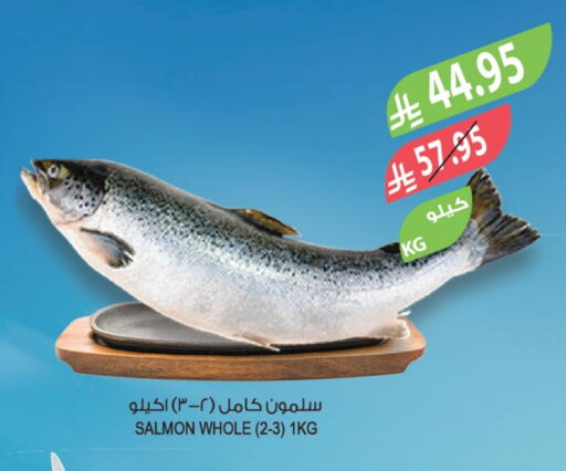 available at المزرعة in مملكة العربية السعودية, السعودية, سعودية - تبوك