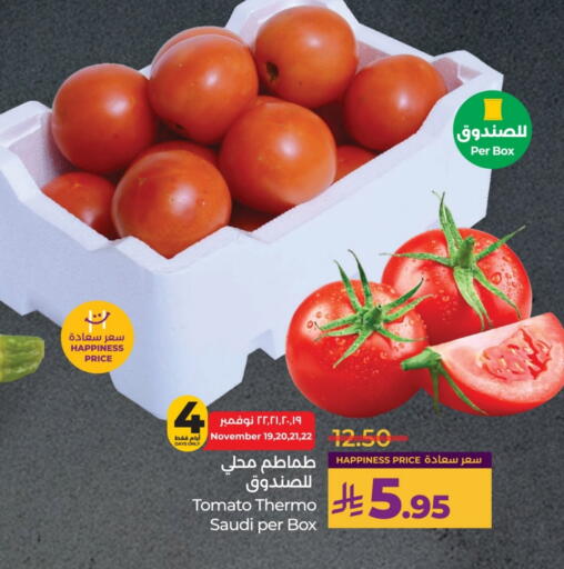 Tomato from Saudi Arabia available at LULU Hypermarket in KSA, Saudi Arabia, Saudi - Al-Kharj