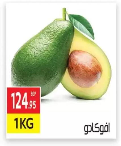 Avacado available at El Mahallawy Market  in Egypt - Cairo