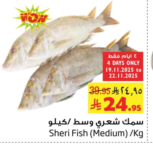available at Layan Hyper in KSA, Saudi Arabia, Saudi - Al Khobar