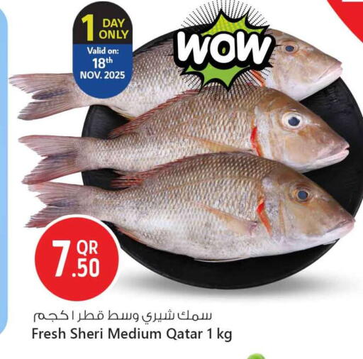 available at Safari Hypermarket in Qatar - Doha