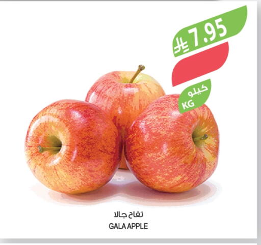 Apples available at Farm  in KSA, Saudi Arabia, Saudi - Al Khobar