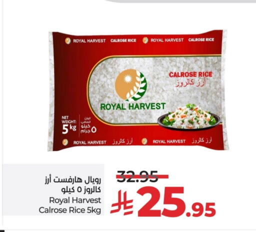 available at لولو هايبرماركت in مملكة العربية السعودية, السعودية, سعودية - الخرج