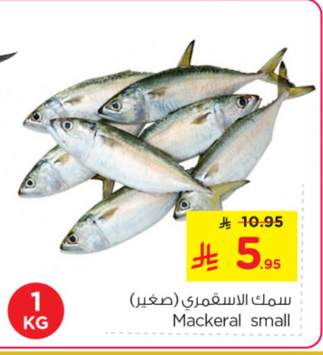 available at نستو in مملكة العربية السعودية, السعودية, سعودية - الخرج