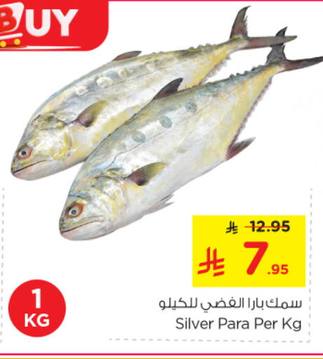 available at نستو in مملكة العربية السعودية, السعودية, سعودية - الخرج