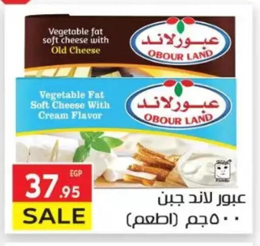 جبنة كريمية available at المحلاوي ماركت in Egypt - القاهرة