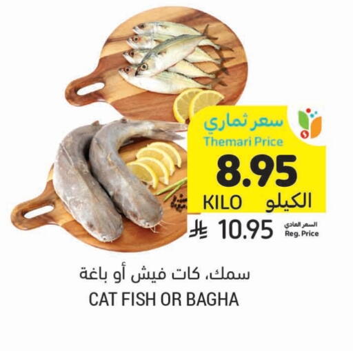 available at Tamimi Market in KSA, Saudi Arabia, Saudi - Tabuk