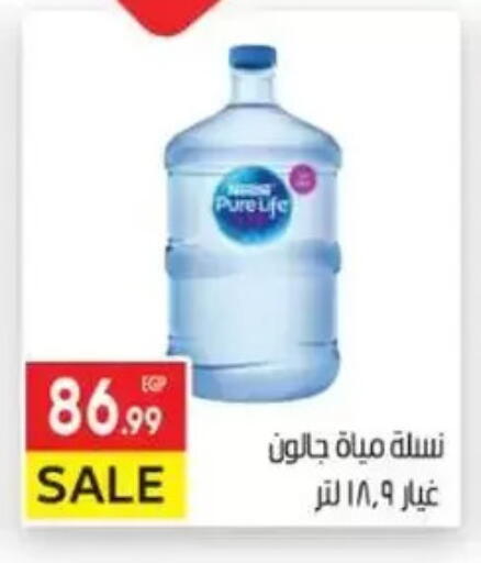 available at المحلاوي ماركت in Egypt - القاهرة