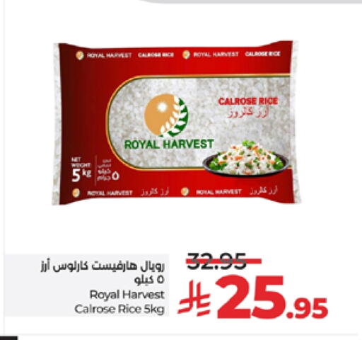 أرز كالروز available at لولو هايبرماركت in مملكة العربية السعودية, السعودية, سعودية - تبوك