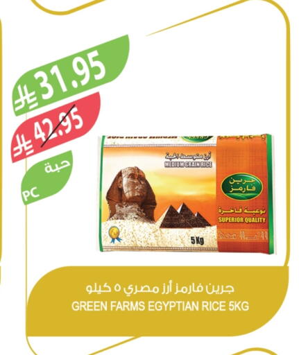 Calrose Rice available at Farm  in KSA, Saudi Arabia, Saudi - Al-Kharj