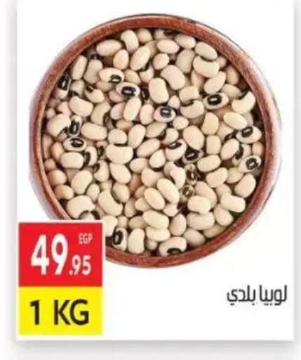 available at المحلاوي ماركت in Egypt - القاهرة