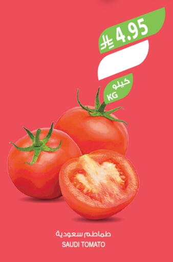 Tomato from Saudi Arabia available at Farm  in KSA, Saudi Arabia, Saudi - Al-Kharj