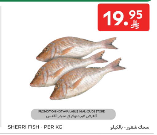 available at Carrefour in KSA, Saudi Arabia, Saudi - Al Khobar