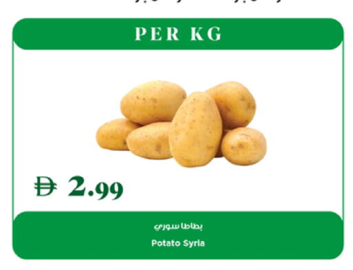 Potato from Syria available at Trolleys Supermarket in UAE - Dubai