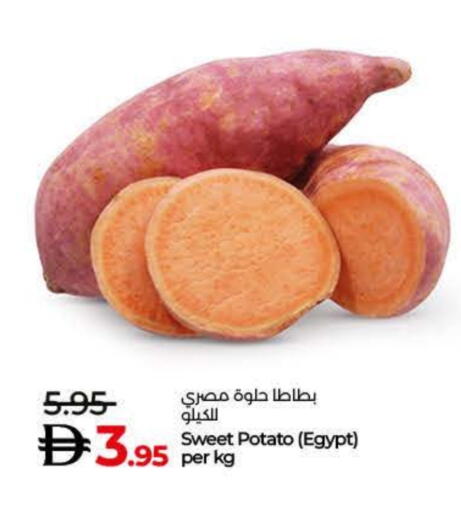 Sweet Potato from Egypt available at Lulu Hypermarket in UAE - Dubai