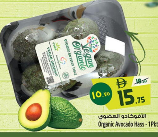 Avocado available at Safari Hypermarket  in UAE - Dubai