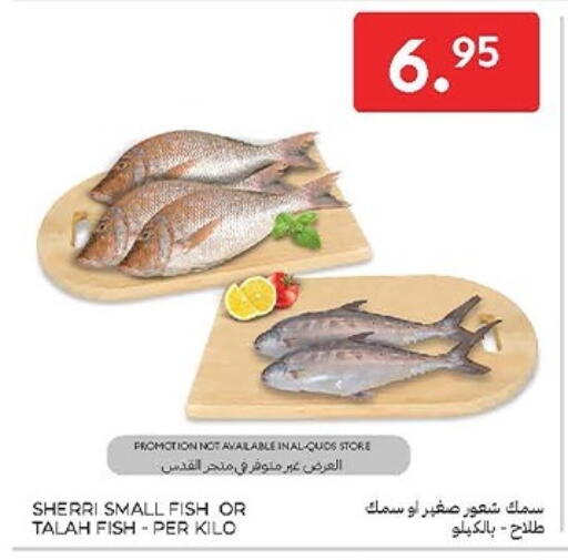 available at Carrefour in KSA, Saudi Arabia, Saudi - Sakaka