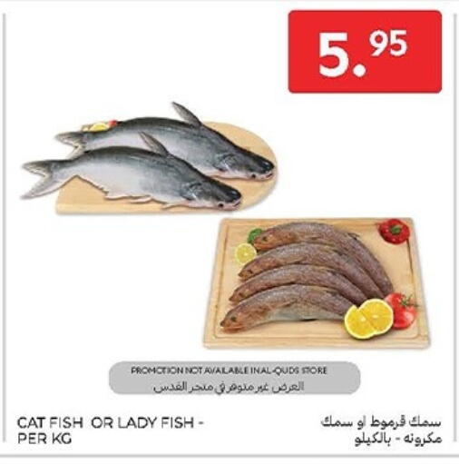 available at Carrefour in KSA, Saudi Arabia, Saudi - Sakaka