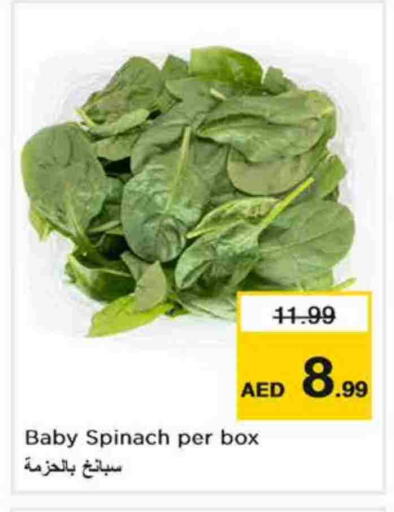 Spinach available at Nesto Hypermarket in UAE - Dubai