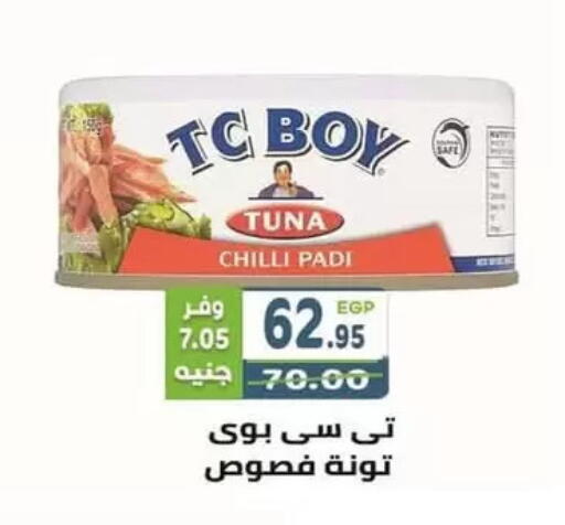 Tuna - Canned available at Dream Market in Egypt - Cairo