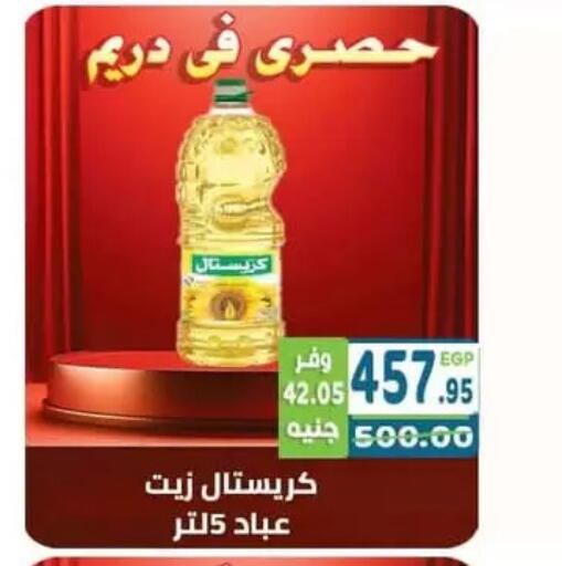 دريم available at هايبر ماركت دريم in Egypt - القاهرة