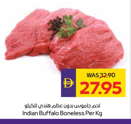 Buffalo available at ADCOOP in UAE - Ras al Khaimah