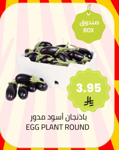 available at أسواق أسترا in مملكة العربية السعودية, السعودية, سعودية - تبوك