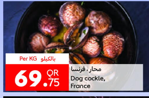 available at Carrefour in Qatar - Al Khor