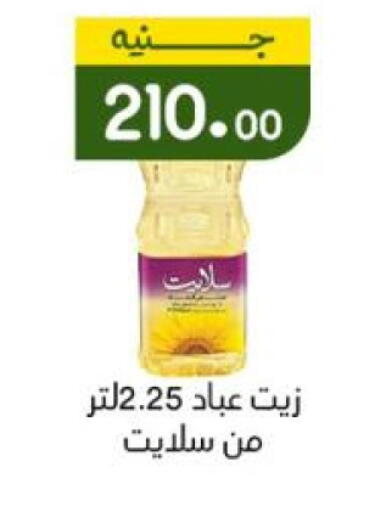 available at Khan Elhussein in Egypt - Cairo