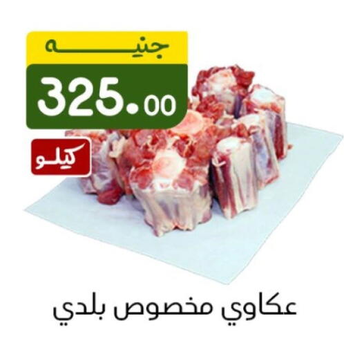 available at خان الحسين in Egypt - القاهرة