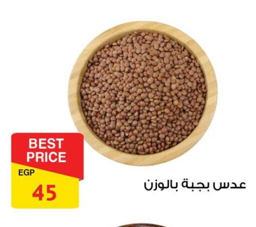 available at فتح الله in Egypt - القاهرة