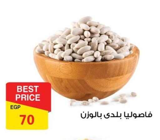 available at فتح الله in Egypt - القاهرة