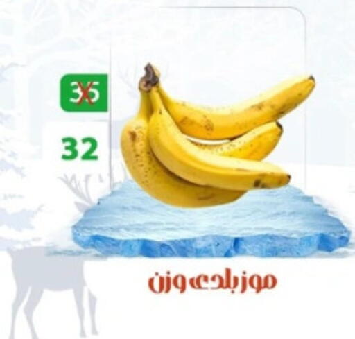 from Egypt available at Hyper Meeza Egypt  in Egypt - Cairo