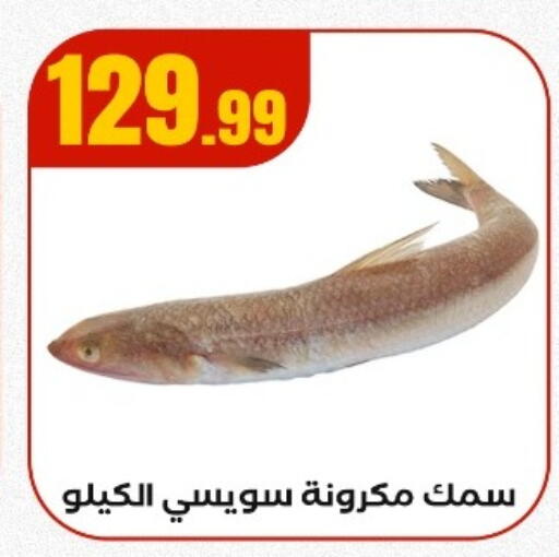 available at مارت فيل in Egypt - القاهرة