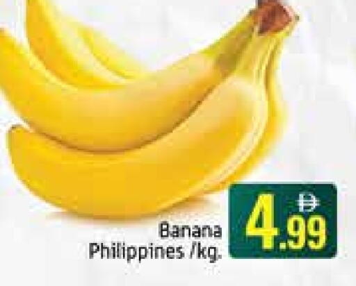 Banana from Philippines available at Mango Hypermarket LLC in UAE - Dubai