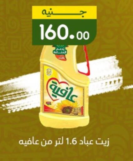 AFIA available at Khan Elhussein in Egypt - Cairo