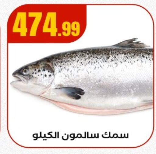 available at مارت فيل in Egypt - القاهرة